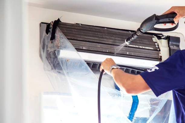 Best HVAC Duct Inspection Services  in Punta Rassa, FL