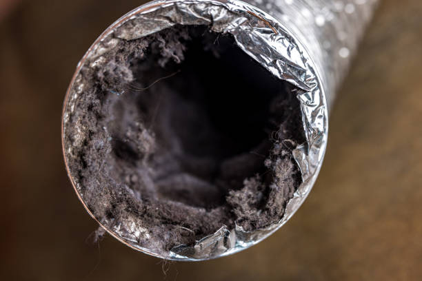 Best Dryer Vent Cleaning Services  in Punta Rassa, FL