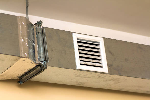 Best Dryer Vent Cleaning Services  in Punta Rassa, FL
